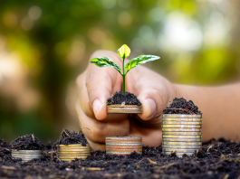 Les défis de la transparence financière