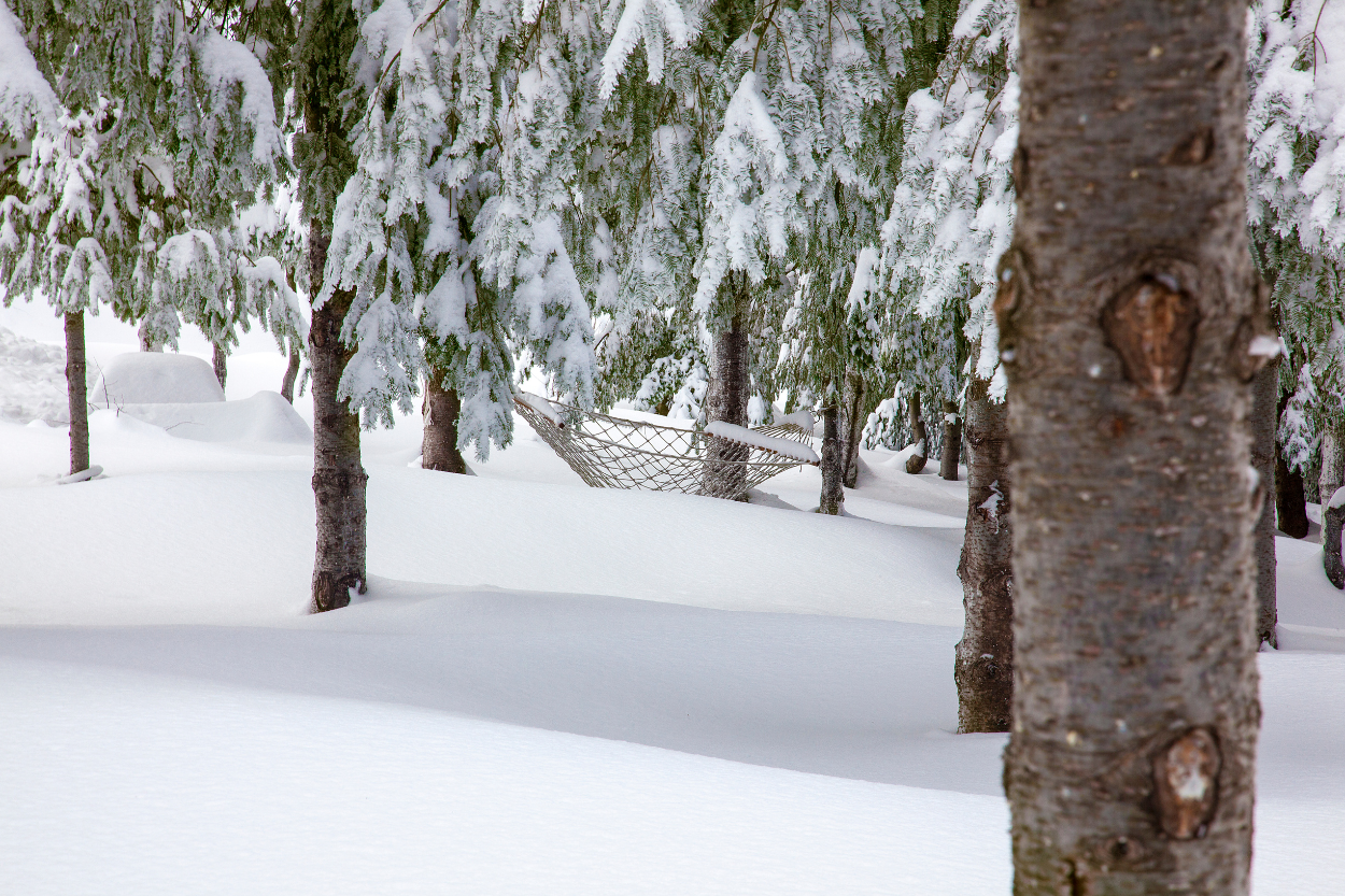 Surmonter les Divergences dans les Préférences pour les Types de Vacances à Thème