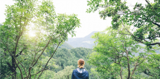 Les Enjeux de la Gestion des Temps de Silence et de Solitude
