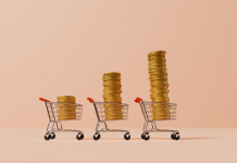 Gestion des dépenses quotidiennes