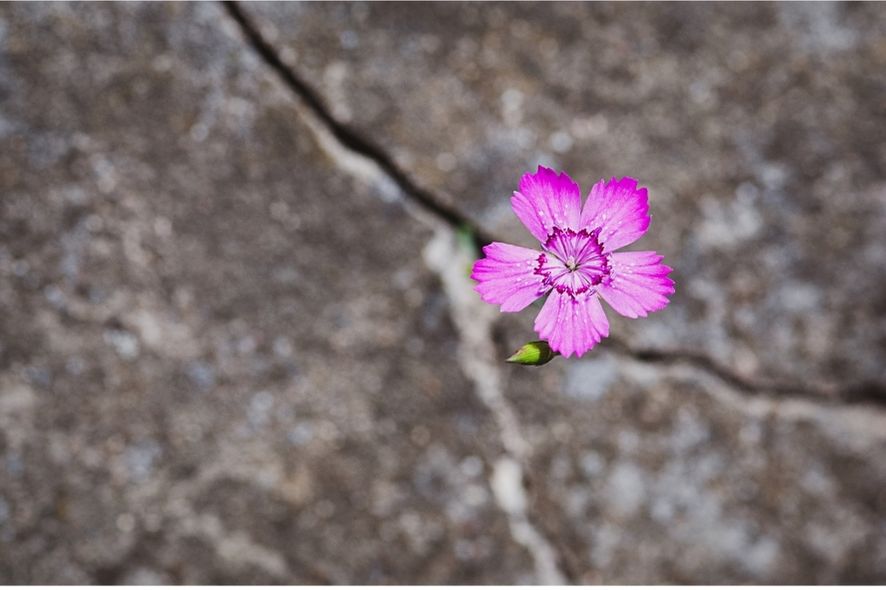 Renforcer la résilience émotionnelle dans les relations