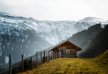 Créer un Refuge d’Amour chez Soi : Un Voyage Intérieur