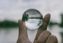 Au-delà des Mots : Comment la Transparence Renforce la Confiance