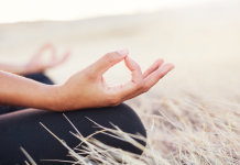 Ensemble sur le Chemin de la Pleine Conscience : Un Voyage à Deux