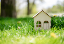 Cultiver le Jardin de Votre Relation : Un Voyage d’Amour et de Connexion