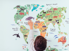 Stratégies pour enseigner les compétences en géographie