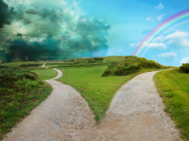 La reconversion professionnelle, il n’est jamais trop tard pour embrasser une nouvelle voie !