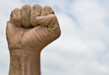 Cultiver la Résilience chez les Enfants : Les Clefs de la Réussite