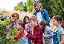 Le Rôle des Sorties Scolaires dans l’Éducation