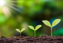 Cultiver l’état d’esprit de croissance chez les enfants