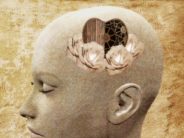 Écouter, Comprendre, Connecter : Transformer les Relations avec l’Intelligence Émotionnelle