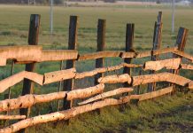 Le Rôle des Limites dans le Maintien d’une Relation Saine