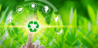 Pratiques Juives pour la Durabilité Environnementale