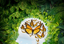 Cultiver la pensée éthique et l’intégrité