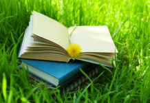 Incorporer l’apprentissage par l’expérience et l’éducation en plein air