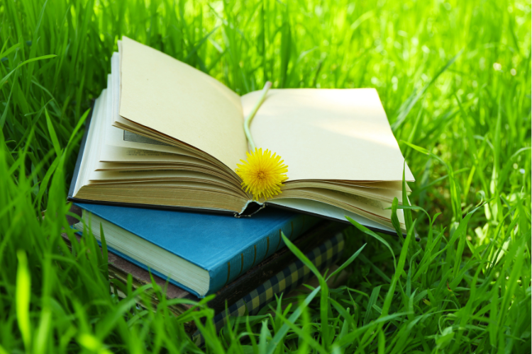 Incorporer l’apprentissage par l’expérience et l’éducation en plein air