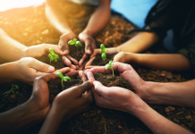 Éducation à l’Environnement et Durabilité : Cultiver un Avenir Vert pour nos Enfants