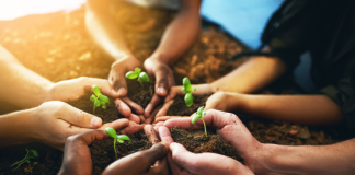 Éducation à l’Environnement et Durabilité : Cultiver un Avenir Vert pour nos Enfants