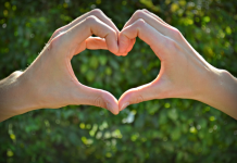 Trouver l’Équilibre dans la Vie Quotidienne en Couple