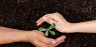 Semez l’Appréciation, Récoltez la Solidarité : Le Pouvoir de la Gratitude dans les Relations