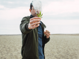 Comprendre l’Addiction au Cannabis et ses Risques pour la Santé