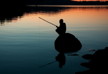 Entre Patience et Tolérance: Naviguer dans un Monde Complexe avec Sagesse