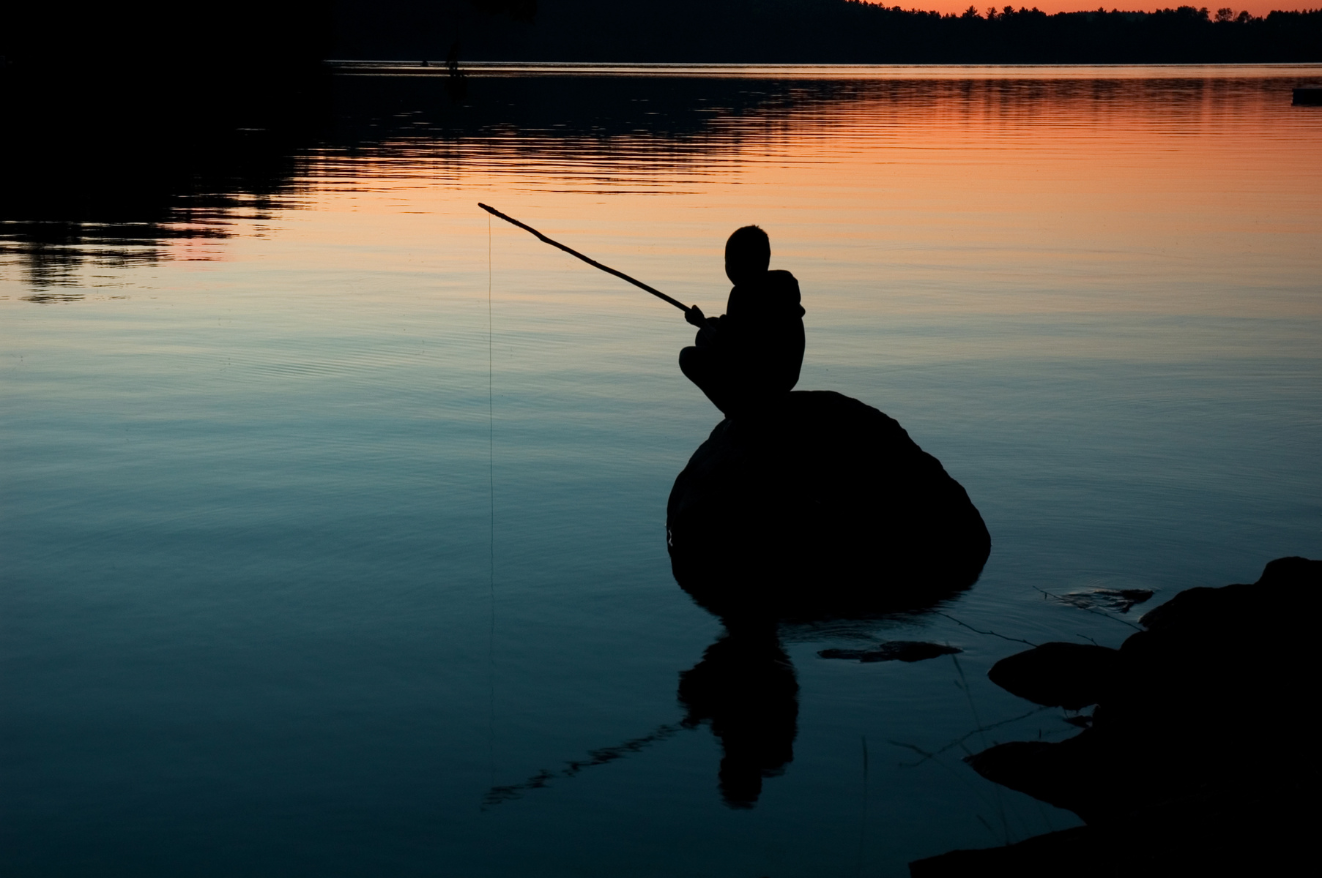 Entre Patience et Tolérance: Naviguer dans un Monde Complexe avec Sagesse