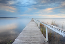 Accompagner les enfants à travers les transitions familiales