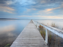 Accompagner les enfants à travers les transitions familiales