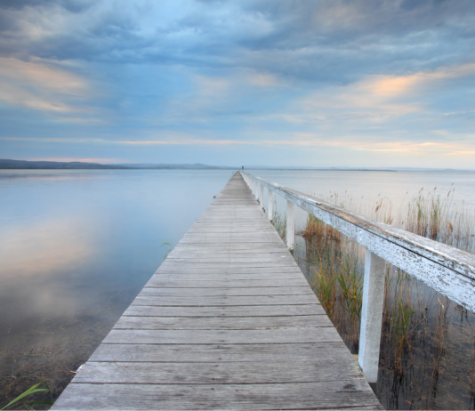 Accompagner les enfants à travers les transitions familiales