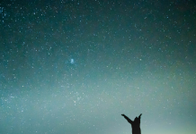 De l’Appréciation à l’Épanouissement : La Force Transformative de la Gratitude dans nos Vies