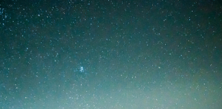 De l’Appréciation à l’Épanouissement : La Force Transformative de la Gratitude dans nos Vies