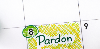 La Puissance du Pardon dans la Guérison des Relations