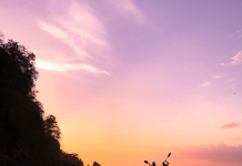 Du Partage à la Découverte : Les Voyages, Miroir de l’Amour