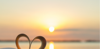 La Célébration de Votre Histoire d’Amour Unique : Un Voyage du Cœur