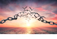 Le Chemin vers la Résilience Relationnelle: Comprendre et Appliquer le Pardon