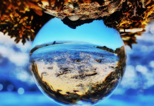 Transparence et Écoute: Les Fondements d’une Communauté Unie