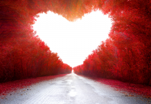 Redécouvrir la Magie de l’Amour : Cultiver l’Émerveillement et la Curiosité dans les Relations