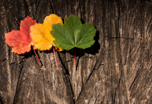 Gérer les périodes de transition