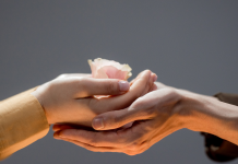 Cultiver un Climat de Soutien et de Compagnonnage dans la Relation