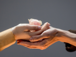 Cultiver un Climat de Soutien et de Compagnonnage dans la Relation