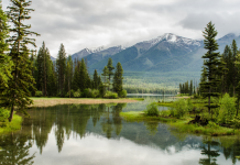 La beauté à travers le prisme de la pensée juive