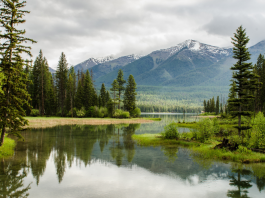La beauté à travers le prisme de la pensée juive