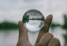 Transparence et Intégrité : Fondements d’une Confiance Durable