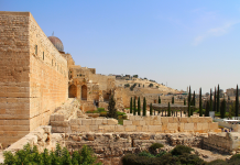 L’impact de l’exil et de la diaspora juive : Leçons historiques, identité préservée et contributions mondiales