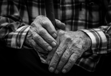 Les leçons de sagesse à travers l’âge