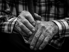 Les leçons de sagesse à travers l’âge