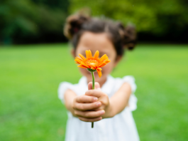 Célébrer l’amour dans la joie et la reconnaissance: Une approche spirituelle