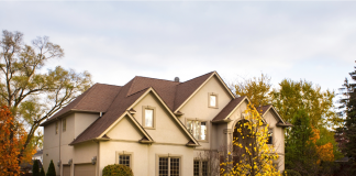 Harmonie au Foyer : Les Clés d’une Collaboration Familiale Inspirée par la Pensée Juive