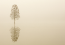 La Sérénité dans le Silence: Se Connecter Profondément à Travers la Tradition Juive